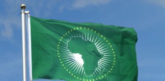 Xénophobie en Afrique du Sud : pourquoi l’Union africaine peine à jouer un rôle de médiation crédible