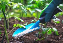 Niger : Création de la Direction de l’Inspection et du Contrôle de la qualité des Engrais