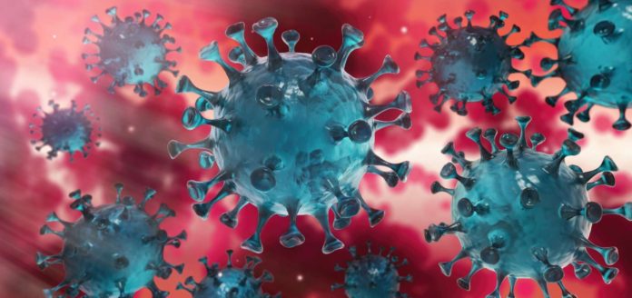 Image virus coronavirus
