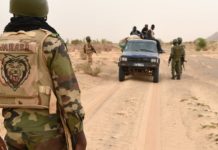Succès militaire au Sud-Mali : les FAMa et l’Africa Corps frappent fort