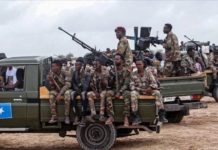 L’armée somalienne élimine plusieurs membres d’Al-Shabaab dans le Moyen-Shebelle