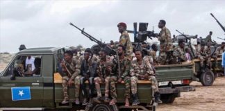L’armée somalienne élimine plusieurs membres d’Al-Shabaab dans le Moyen-Shebelle