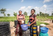 Agroécologie et justice climatique: plusieurs journalistes formés pour la promotion d’une production agricole plus verte