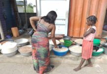 Cultiver du niébé contribue à garantir la sécurité alimentaire en Afrique