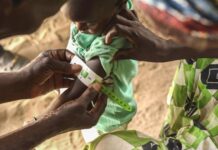 Malnutrition Aiguë Sévère au Niger: la région de Zinder concentre le taux le plus élevé des cas