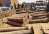 Dallol Bosso : le prix caché du natron