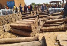 Dallol Bosso : le prix caché du natron