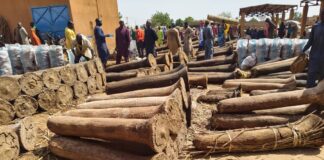 Dallol Bosso : le prix caché du natron
