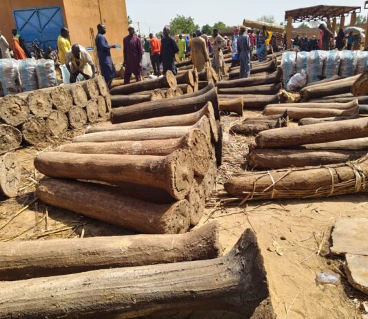 Dallol Bosso : le prix caché du natron