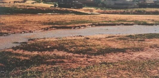 Installation de la saison pluvieuse au Niger : Gabgoura, un cas de résilience limitée