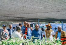 L’Initiative éthiopienne « L’abondance du panier » : un modèle pour la sécurité alimentaire en Afrique