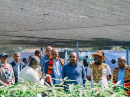 L’Initiative éthiopienne « L’abondance du panier » : un modèle pour la sécurité alimentaire en Afrique