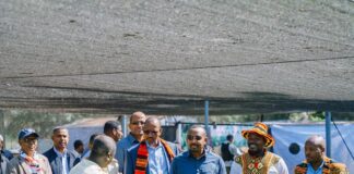 L’Initiative éthiopienne « L’abondance du panier » : un modèle pour la sécurité alimentaire en Afrique