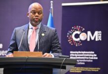 Des visas à l’arrivée pour tous les Africains en Afrique, le plaidoyer du secrétaire général de la Zlecaf