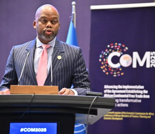 Des visas à l’arrivée pour tous les Africains en Afrique, le plaidoyer du secrétaire général de la Zlecaf
