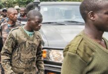 RDC : les rebelles des FDLR s’engagent dans un processus de désarmement
