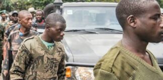 RDC : les rebelles des FDLR s’engagent dans un processus de désarmement