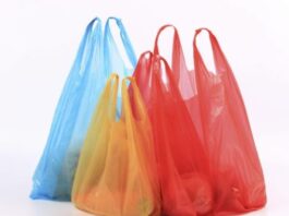 Niamey déclare la guerre aux sachets plastiques : le défi d’une capitale dépolluée