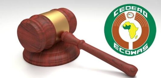 Révision constitutionnelle au Togo : le gouvernement et la Cour de justice de la CEDEAO à couteaux tirés