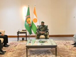 Niger-Algérie : une impulsion nouvelle au partenariat énergétique