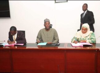 Signature d’une convention PPP de 126 milliards CFA pour une centrale solaire au Niger : le partenaire privé mis à l’épreuve