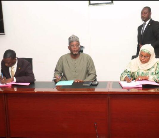 Signature d’une convention PPP de 126 milliards CFA pour une centrale solaire au Niger : le partenaire privé mis à l’épreuve