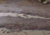 Saison des pluies à Niamey : des routes dégradées compliquent le quotidien de la population