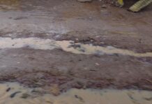 Saison des pluies à Niamey : des routes dégradées compliquent le quotidien de la population
