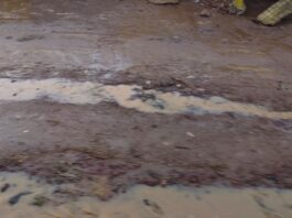 Saison des pluies à Niamey : des routes dégradées compliquent le quotidien de la population