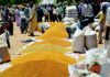 Prix des céréales au Niger : une baisse sensible observée sur les marchés