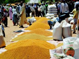 Prix des céréales au Niger : une baisse sensible observée sur les marchés