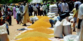 Prix des céréales au Niger : une baisse sensible observée sur les marchés