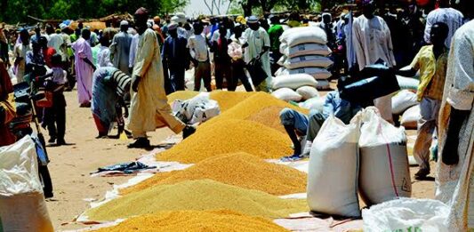 Prix des céréales au Niger : une baisse sensible observée sur les marchés