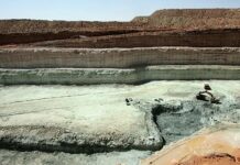 Dasa, le gisement stratégique qui rapproche le Niger et les Etats-Unis