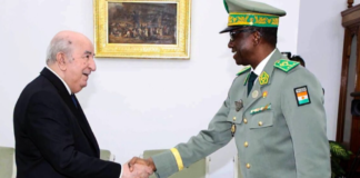 Troupes algériennes au Niger : un vote à Alger, silence radio à Niamey