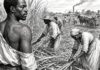 Réparations coloniales : l’Afrique se retrouve à Kigali pour débattre