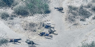 Bassin du Lac Tchad : plusieurs terroristes neutralisés